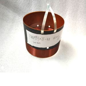 FIBSV In Out Wire Voice Coil